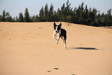 《宣誓》不再强制使用性别代词 DEI总监已经怂了